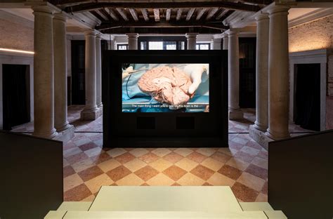 teresa bovi fondazione prada|Human Brains.